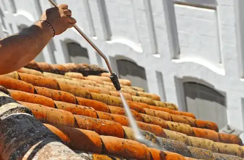 Nettoyage de toitures - Tenay